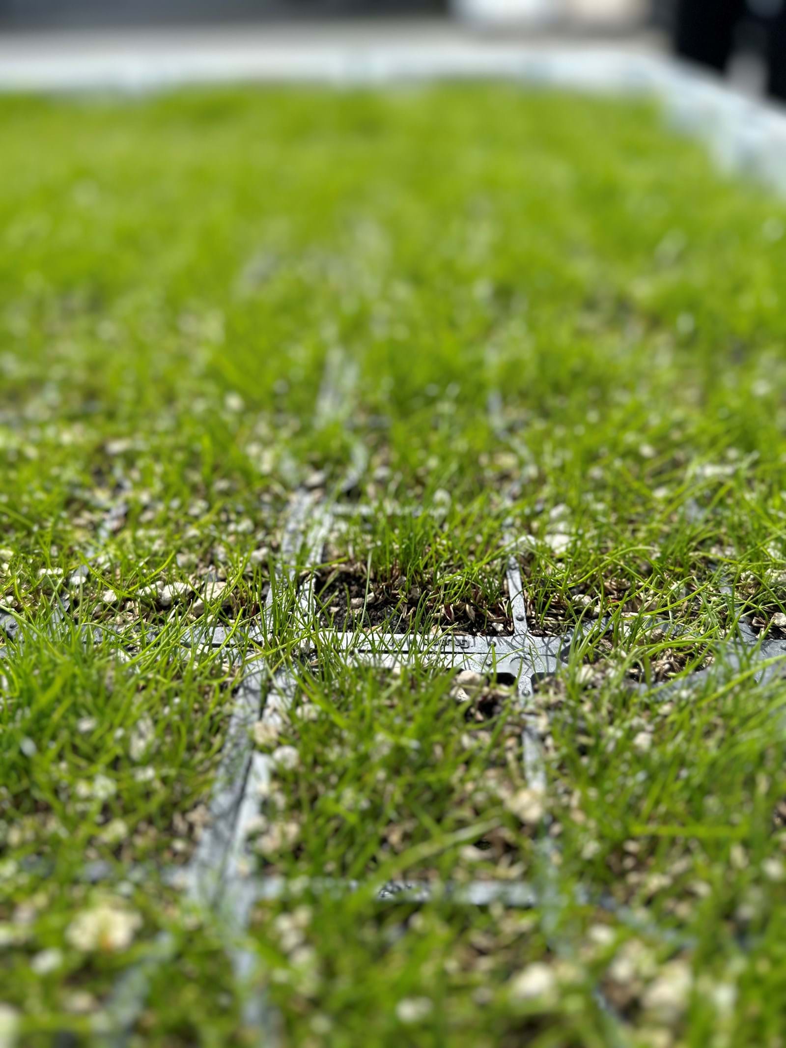Ecoraster closeup Ecoraster closeup